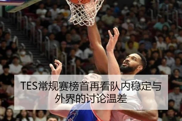 TES常规赛榜首再看队内稳定与外界的讨论温差